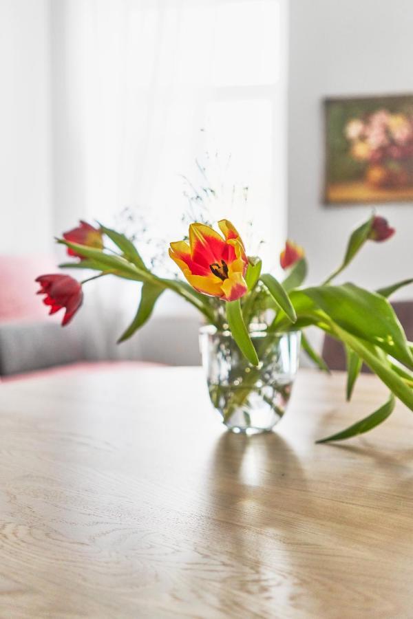 New And Lovely Apartament In Vilnius City Centre المظهر الخارجي الصورة